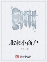 系统破产后我和将军HE了